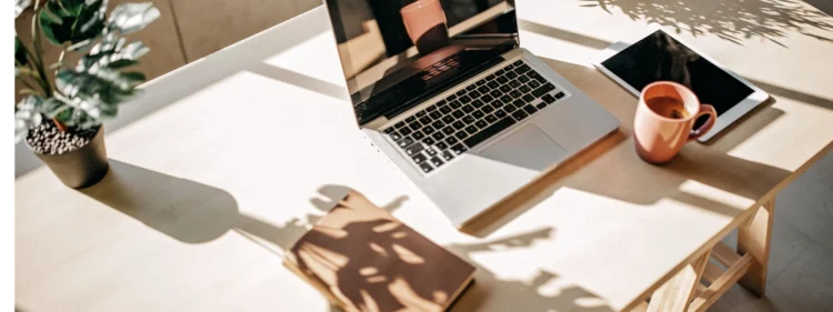 Openlaptop, coffee, tablet, book, plant and sunshine. Very relaxed vibe